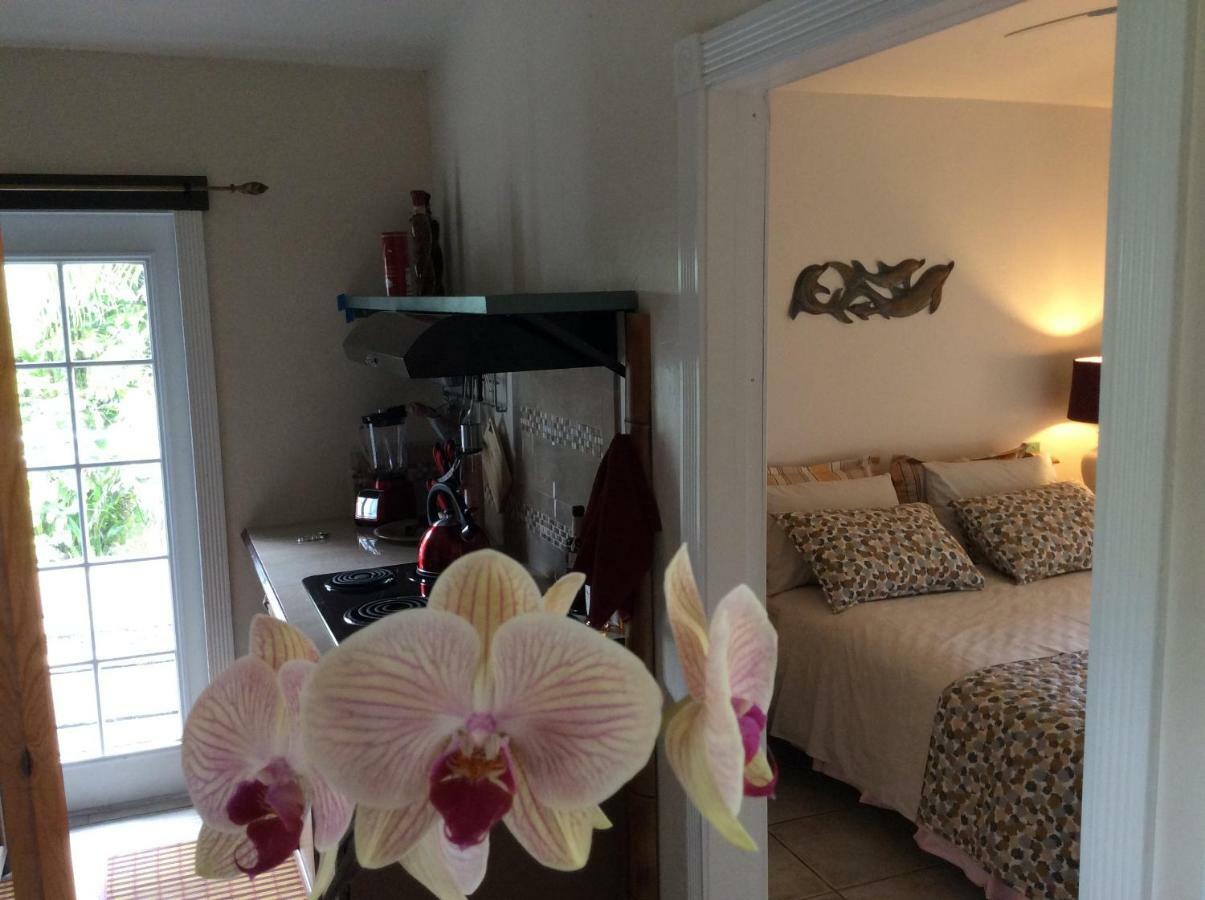 Mediteranean Style Ohana / Garden In Pahoa Honolulu Landing