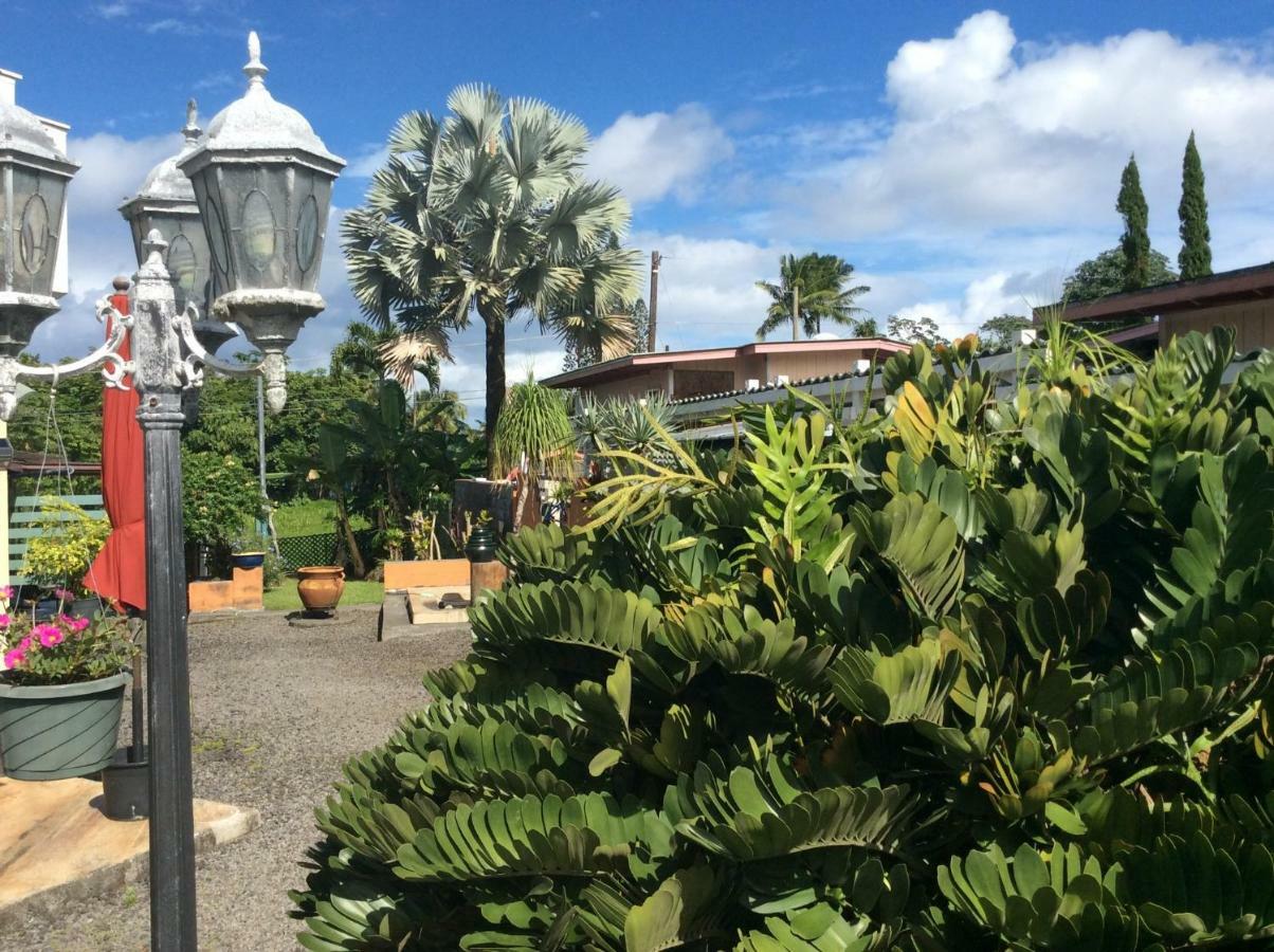 Mediteranean Style Ohana / Garden In Pahoa * Honolulu Landing