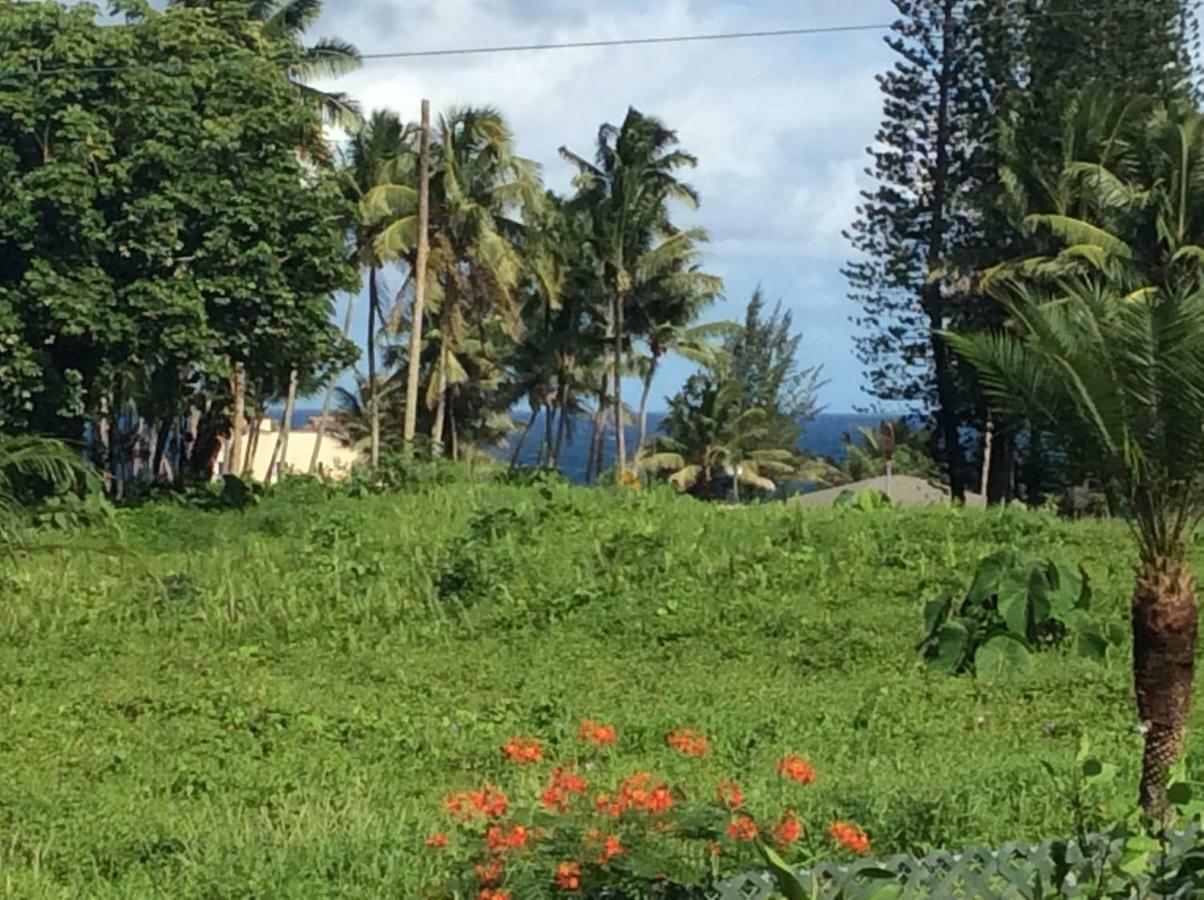 Holiday home Mediteranean Style Ohana / Garden In Pahoa Honolulu Landing