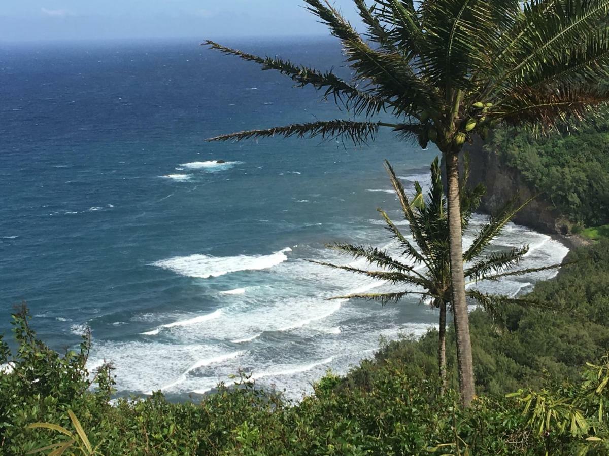 Mediteranean Style Ohana / Garden In Pahoa