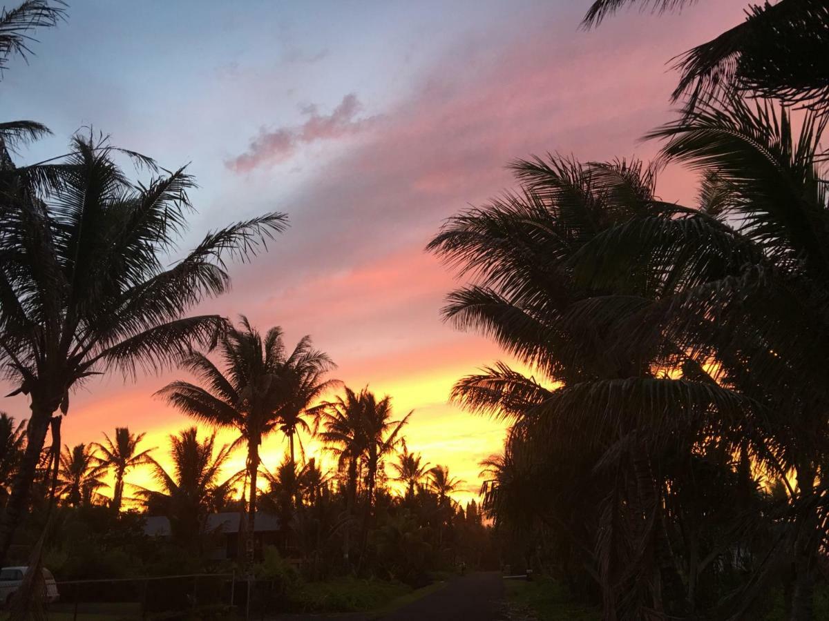 Mediteranean Style Ohana / Garden In Pahoa Honolulu Landing