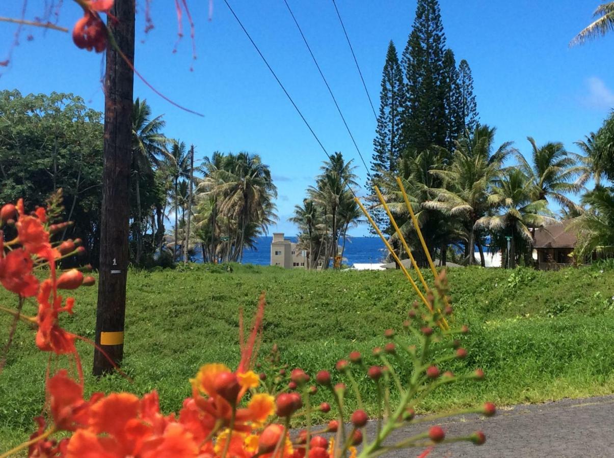 Holiday home Mediteranean Style Ohana / Garden In Pahoa *